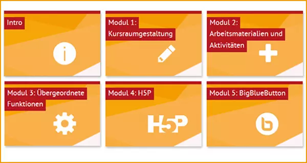 direkt zum Kurs (Screenshot Moodle-Kurs)