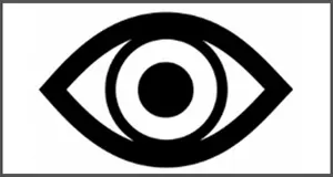 Auge. Grafik: Marlene Ganz