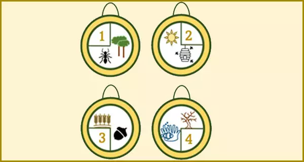 Symbolbild Biodiversität. Grafik: Timon Schneider, Autor des Kurses